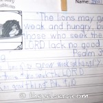 Tracing and Copywork