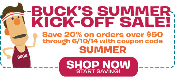 What's in the Bible? Summer Kick-Off Sale