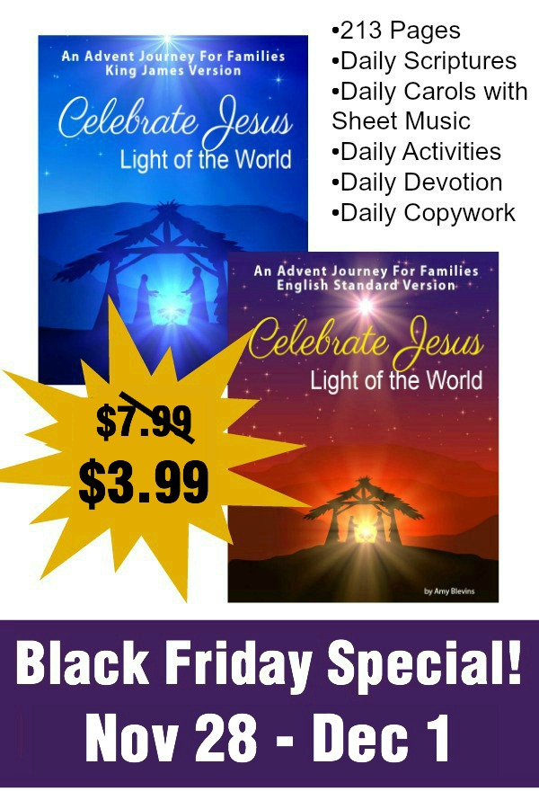 Celebrate Jesus Light of the World Advent Journey
