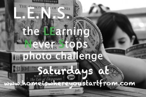 L.E.N.S. Challenge