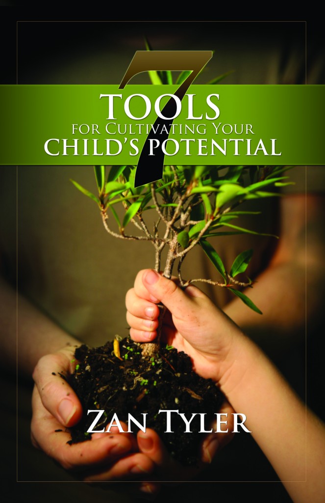 7 Tools Book Cover