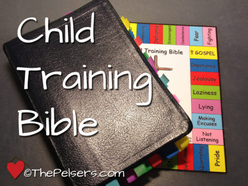 Child Training Bible