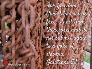 Chains-Freedom-Web