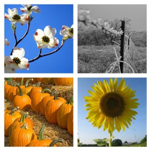 Through the Seasons of LIfe Collage