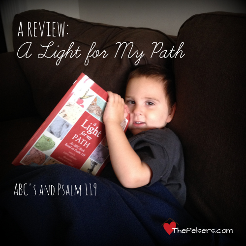 Psalm 119 A Light for My Path.jpg