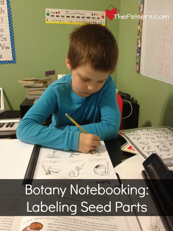 Botany Notebooking