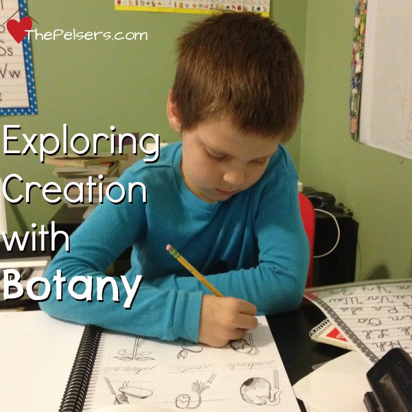 Exploring Creation with Botany