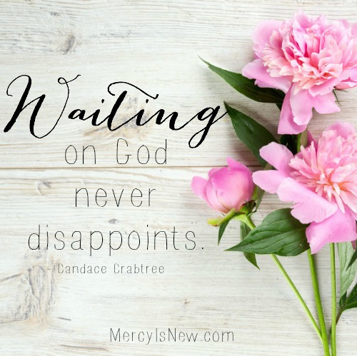 Are you waiting for God? He never disappoints. Read more at thepelsers.com about how to handle the waiting in Wait Only Upon God. 