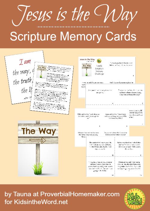 Jesus is the Way scripture memory cards
