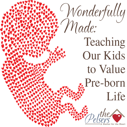 Wonderfully Made: Teaching Our Kids to Value Pre-Born Life